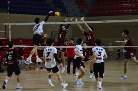 圣路易斯红雀队宣布将聘请老将普侯斯担任 2026 球队打击顾问